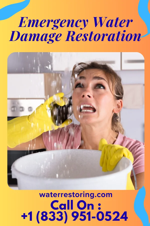Emergency Water Damage Restoration in Willow Park, TX