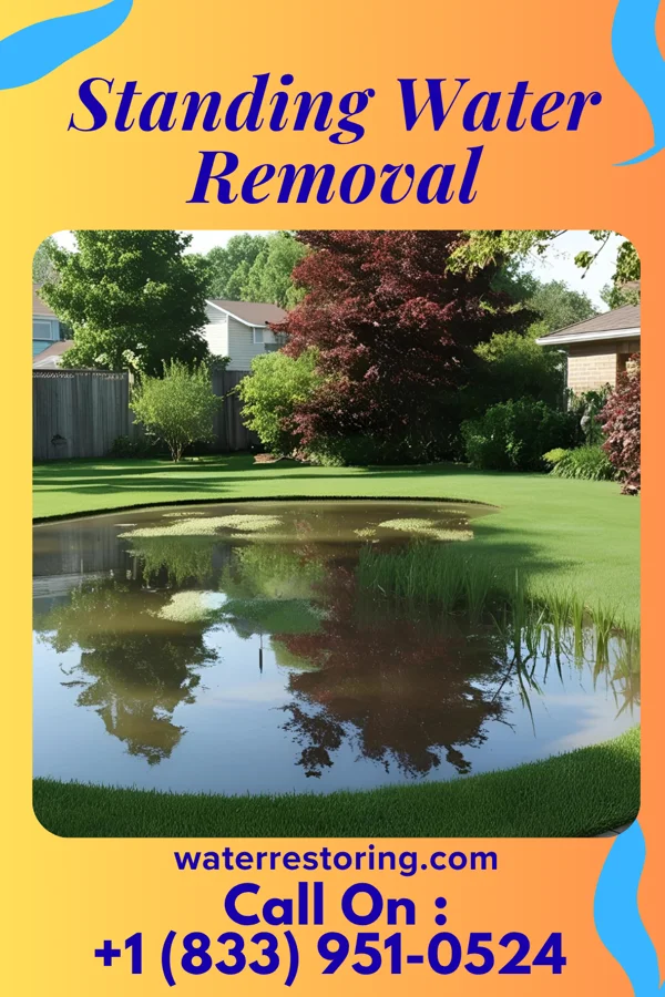Standing Water Removal in Willow Park, TX